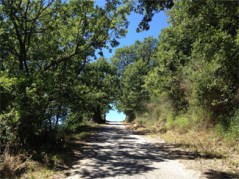 passeggiataChiaromonte