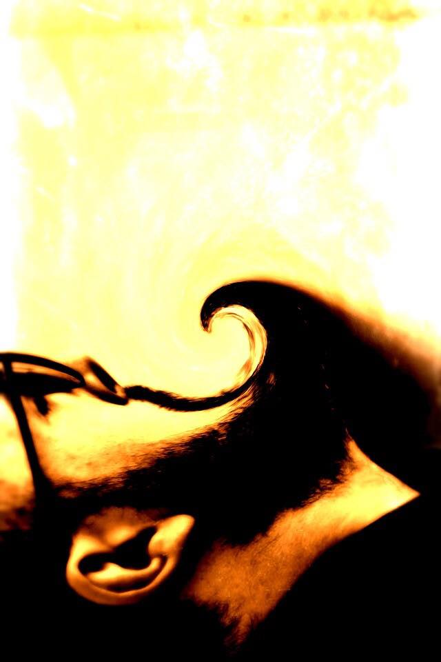 img_canto_carnatico-insetti